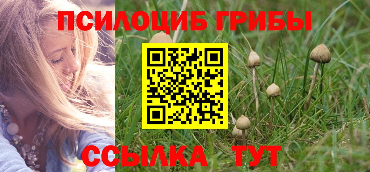 Галлюциногенные грибы Psilocybine cubensis Донской