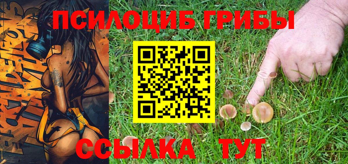 Донской  Галлюциногенные грибы Psilocybe  Вход с VPN 